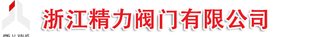浙江精力閥門有限公司